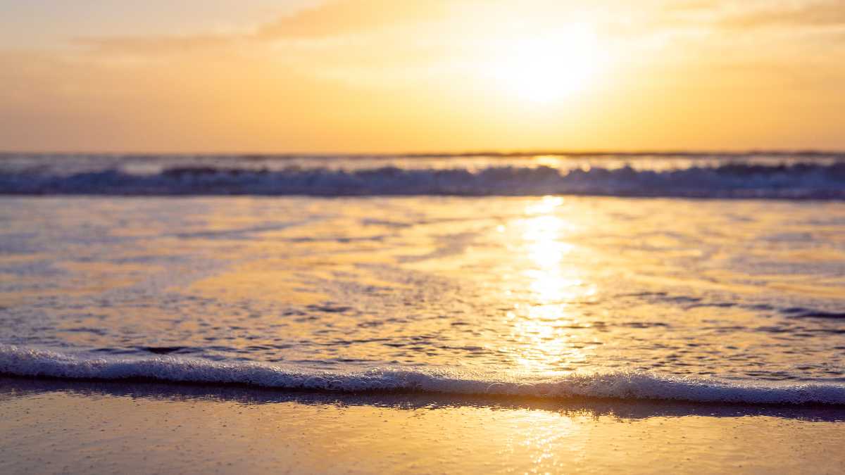 Spiaggia Calalunga a Peschici: acque cristalline e relax