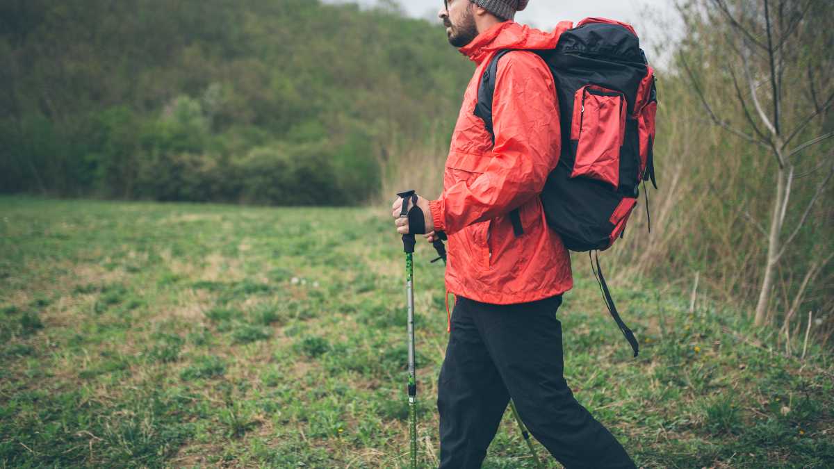 Trekking nella Foresta Umbra da Peschici: itinerari consigliati
